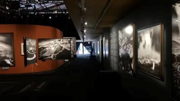 拿柜配资 巴西新地标！到亚马逊博物馆来一场沉浸式体验