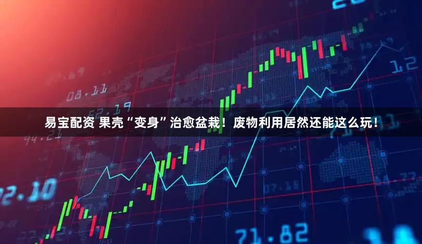 易宝配资 果壳“变身”治愈盆栽！废物利用居然还能这么玩！